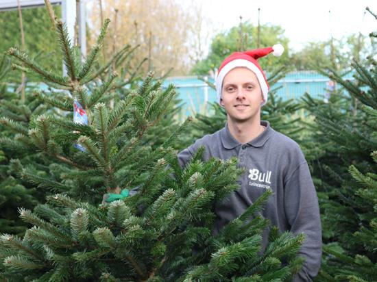 schommel Indica vacuüm Kerstboom kopen Wijchen