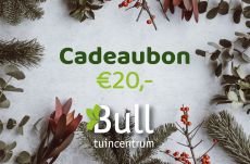 Kerstboom Cadeaubon Kerstboom Cadeaubon