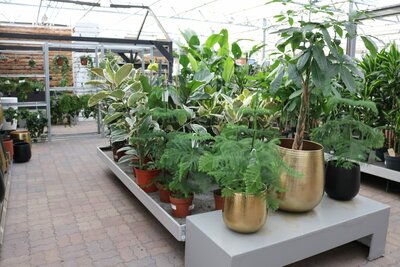 Bloempotten en plantenbakken