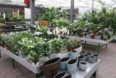 Bloempotten en plantenbakken