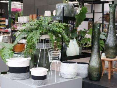 https://www.tuincentrumbull.nl/producten/434/kamerplanten-groen/property/luchtzuiverend[ja]