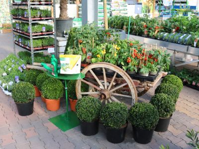 Sfeerbeeld Winkel April 2018