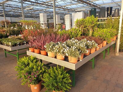 Tuincentrum Bull