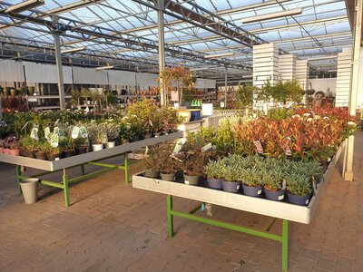 Tuincentrum Bull