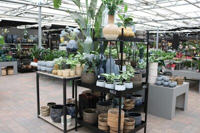 Tuincentrum Bull