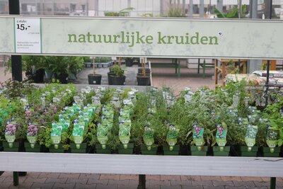 Tuinplanten 2023