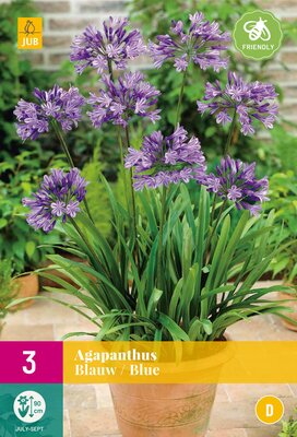 Agapanthus blauw 3st