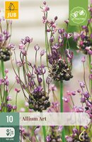 Allium Art, 10 stuks