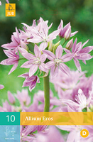 Allium eros 10st - afbeelding 2