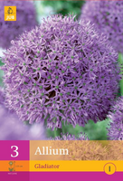 Allium gladiator 5st - afbeelding 2