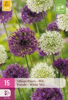 Allium Paars-Wit Mix, 15 stuks
