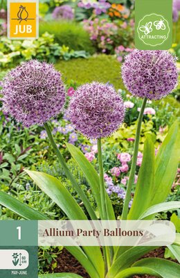 Allium Party Balloons, 1 stuks