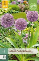 Allium Party Balloons, 1 stuks