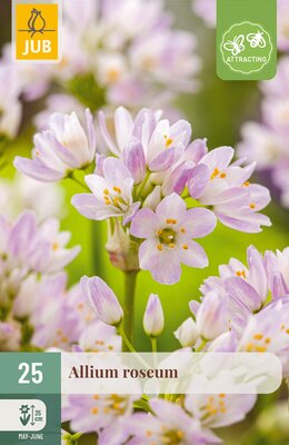 Allium roseum, 25 stuks