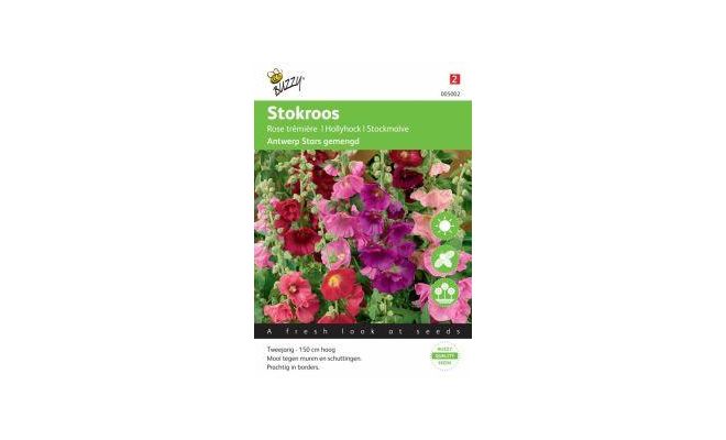 Althaea antwerp stars mix 0.5g