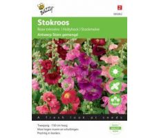 Althaea antwerp stars mix 0.5g