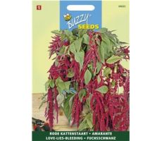 Amaranthus rode bloemeteros 1g - afbeelding 2