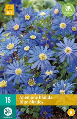 Anemone blanda blue shades 15 stuks