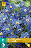 Anemone blanda blue shades 15st - afbeelding 2