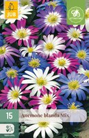 Anemone blanda Mix, 15 stuks