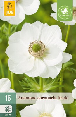 Anemone cor. Bride, 15 stuks