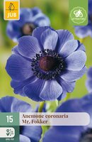Anemone cor. Mr. Fokker, 15 stuks