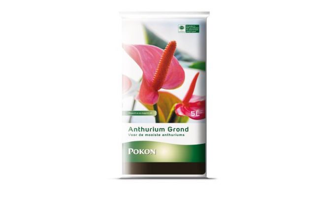 Anthurium grond, rhp, Pokon, 5 liter - afbeelding 1