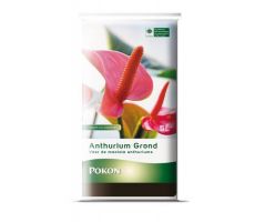 Anthurium grond, rhp, Pokon, 5 liter - afbeelding 1