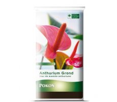 Anthurium grond, rhp, Pokon, 5 liter - afbeelding 3