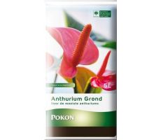 Anthurium grond, rhp, Pokon, 5 liter - afbeelding 2