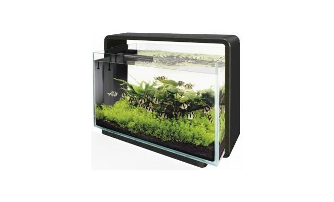 Aquarium home 60 zwart