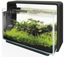 Aquarium home 60 zwart
