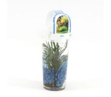 Aquariumplanten mix