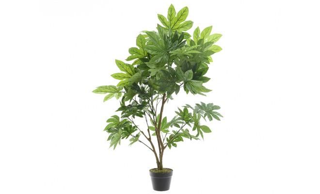 Aralia plastic h90cm groen, kunstplant - afbeelding 1