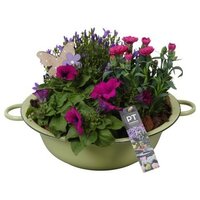 Arrangement Patio in metalen schaal, dsn 30 cm