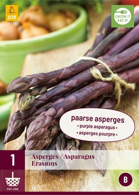 Asparagus erasmus 1st