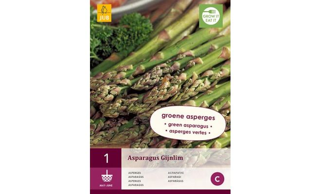 Asparagus gijnlim (groen) 1st - afbeelding 1