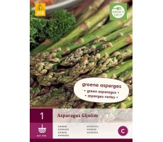 Asparagus gijnlim (groen) 1st - afbeelding 4