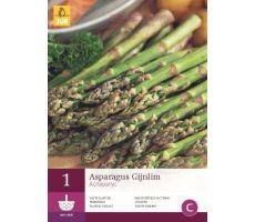 Asparagus gijnlim (groen) 1st - afbeelding 4