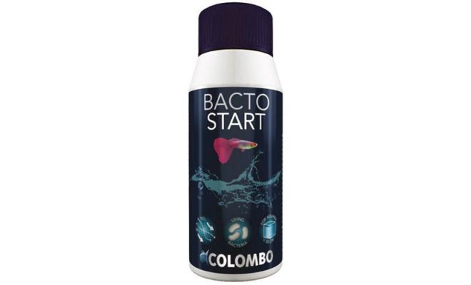 Bacto start 100ml