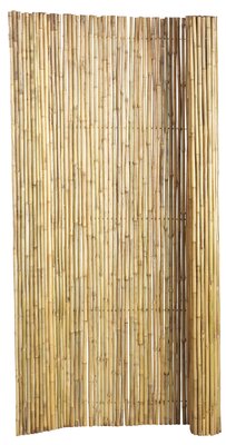 Bamboescherm op rol 180 x 180 cm, gelakt.