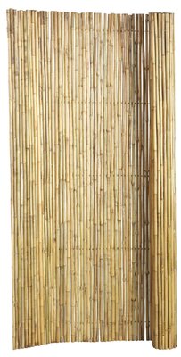 Bamboescherm op rol 180 x 180 cm, gelakt.
