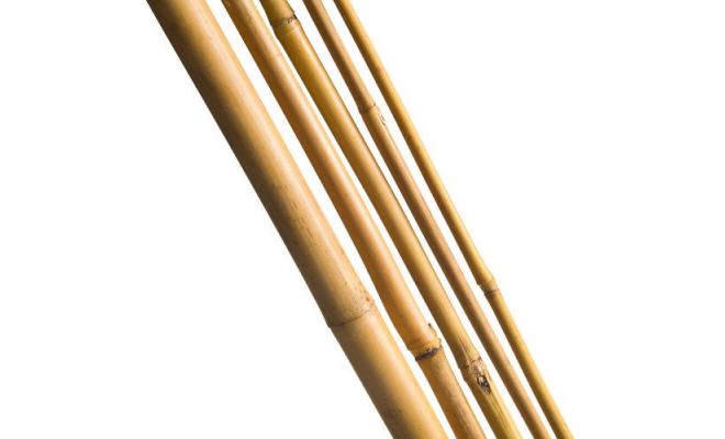 Bamboestok L 120cm d 10-12mm 5st