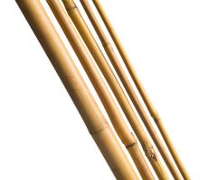 Bamboestok L 120cm d 10-12mm 5st