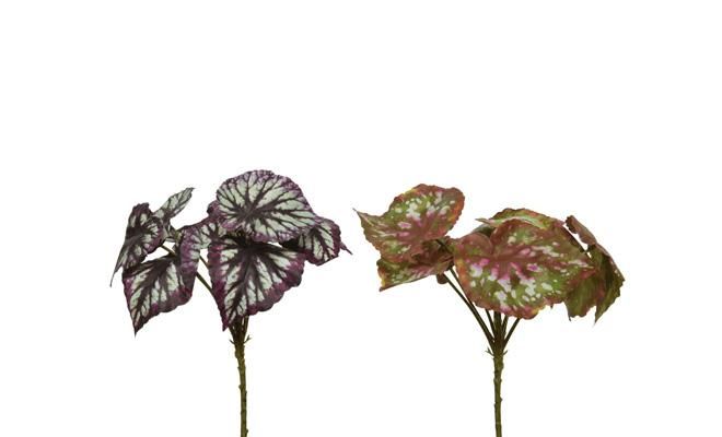 Begonia polyester d25h33cm, kunstplant, per stuk