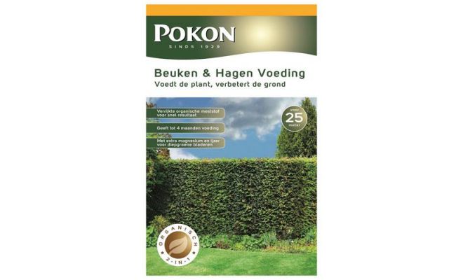 Beuken en hagen voeding, Pokon, 2.5 kg - afbeelding 1