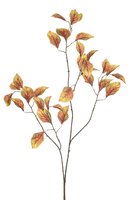 Beukenbladtak, 100 cm, geel