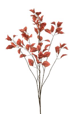 Beukenbladtak, 135 cm, koraal