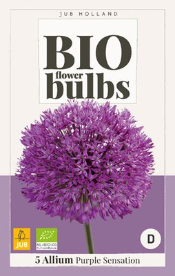 Bio allium purple sensation 5 stuks