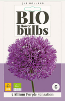 Bio allium purple sensation 5st